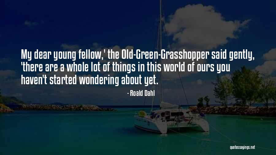 Madere Portugal Carte Quotes By Roald Dahl Madere Portugal Carte Quotes By Roald Dahl