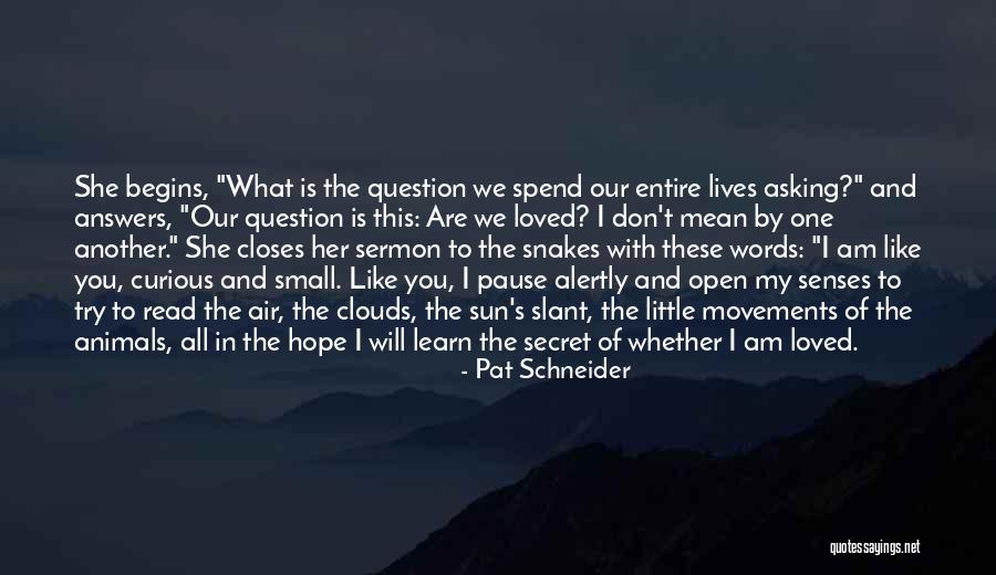 Maderos Irwin Quotes By Pat Schneider Maderos Irwin Quotes By Pat Schneider