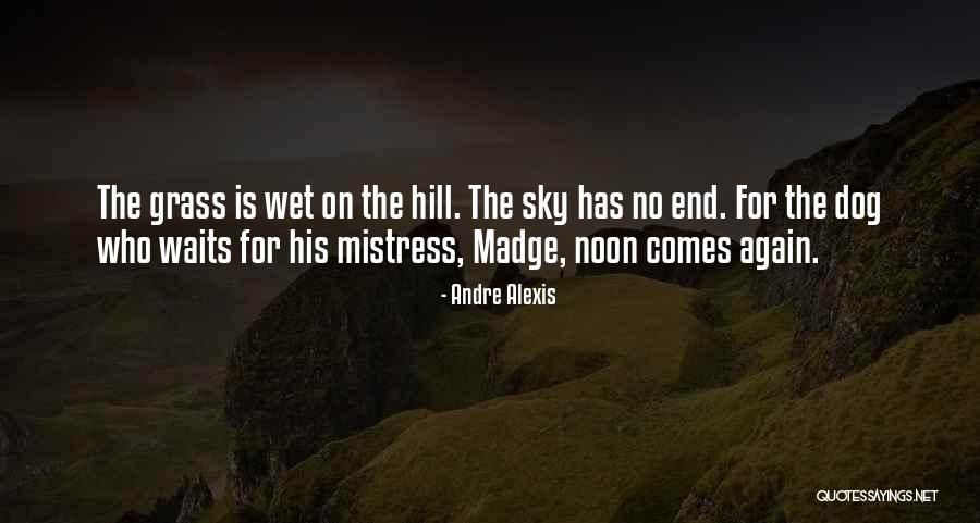 Madge Quotes By Andre Alexis Madge Quotes By Andre Alexis