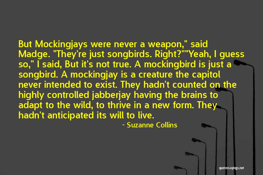 Madge Quotes By Suzanne Collins