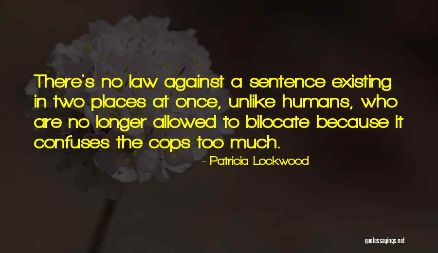 Madhouse Studio Quotes By Patricia Lockwood Madhouse Studio Quotes By Patricia Lockwood