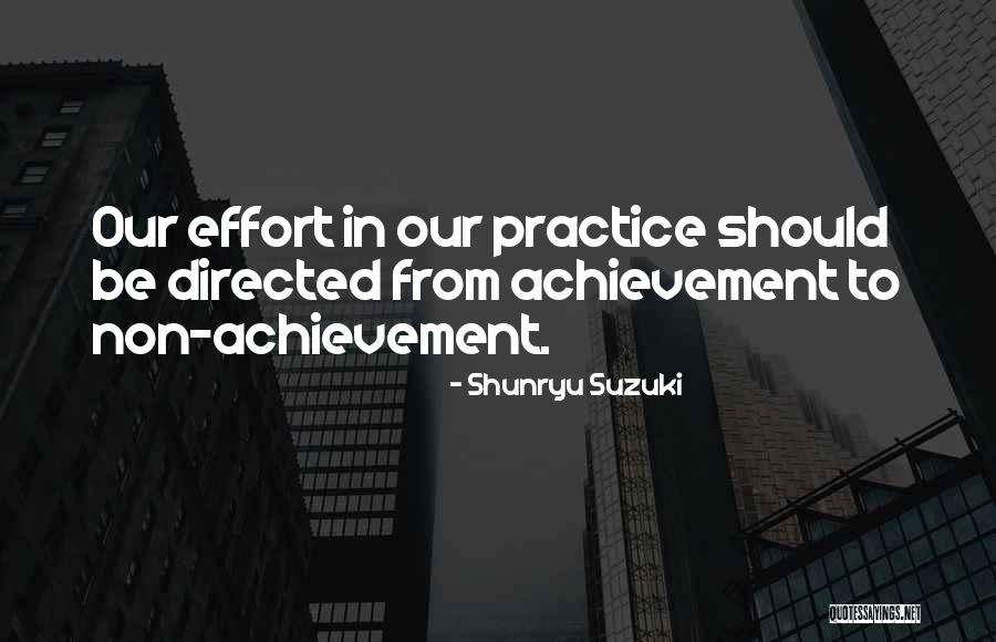 Madison Lintz Quotes By Shunryu Suzuki