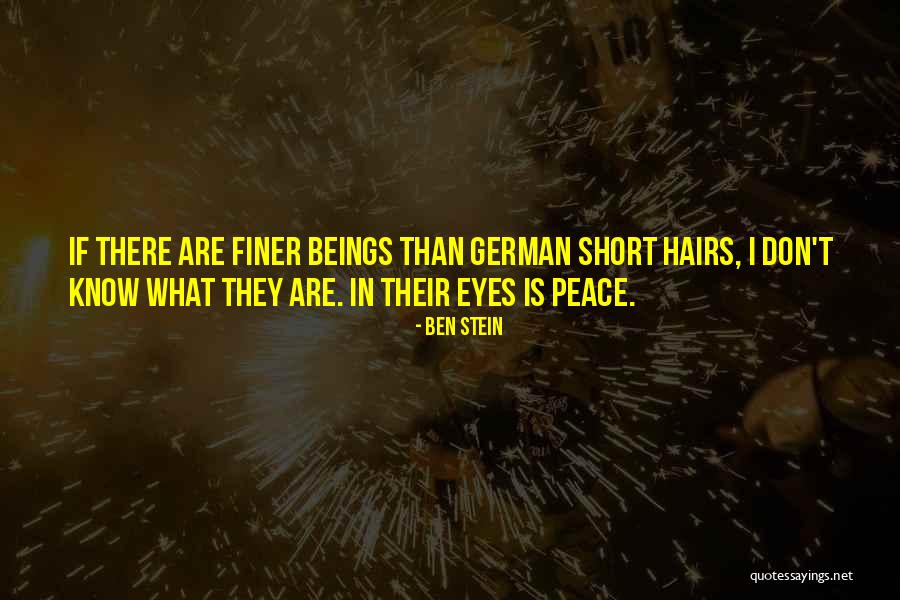 Madjid Tavana Quotes By Ben Stein