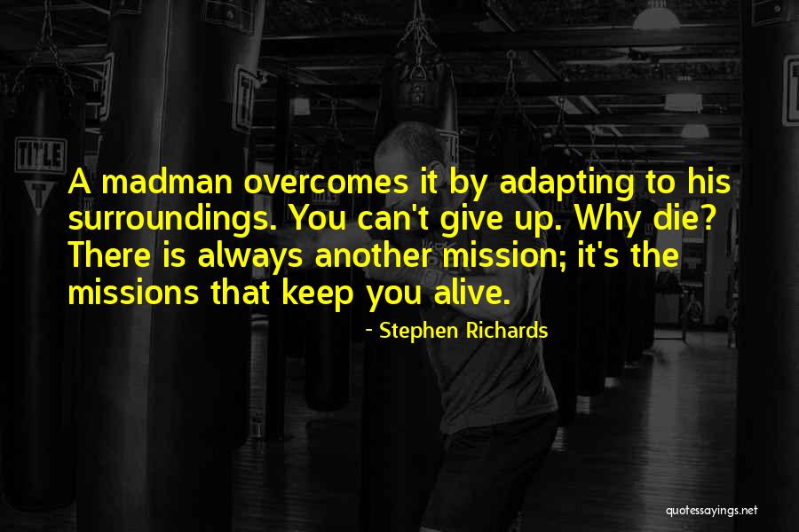 Madman Quotes By Stephen Richards