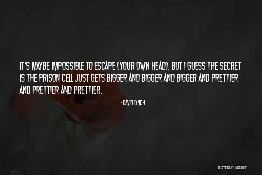 Madness And Sanity Quotes By David Lynch