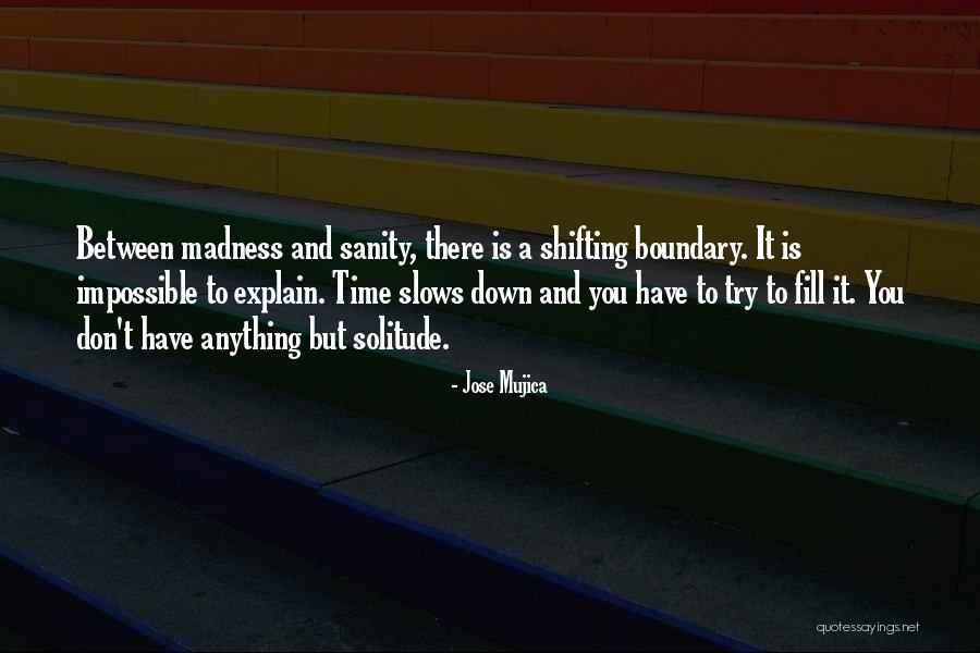 Madness And Sanity Quotes By Jose Mujica Madness And Sanity Quotes By Jose Mujica