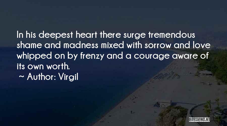 Madness In Literature Quotes By Virgil