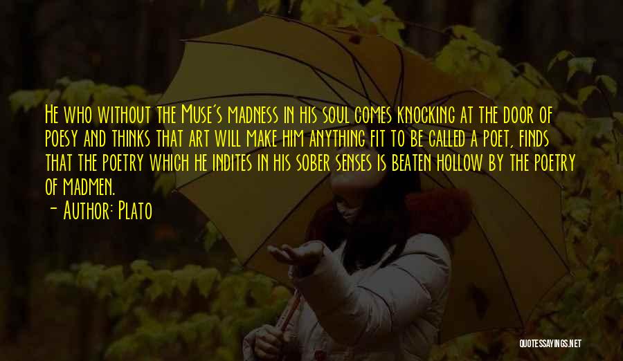 Madness Muse Quotes By Plato