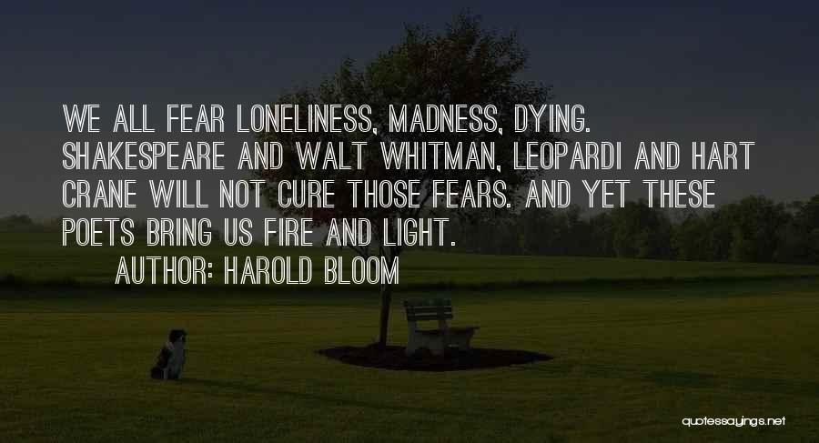 Madness Shakespeare Quotes By Harold Bloom