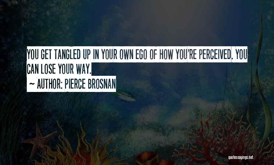 Madone Trek Quotes By Pierce Brosnan