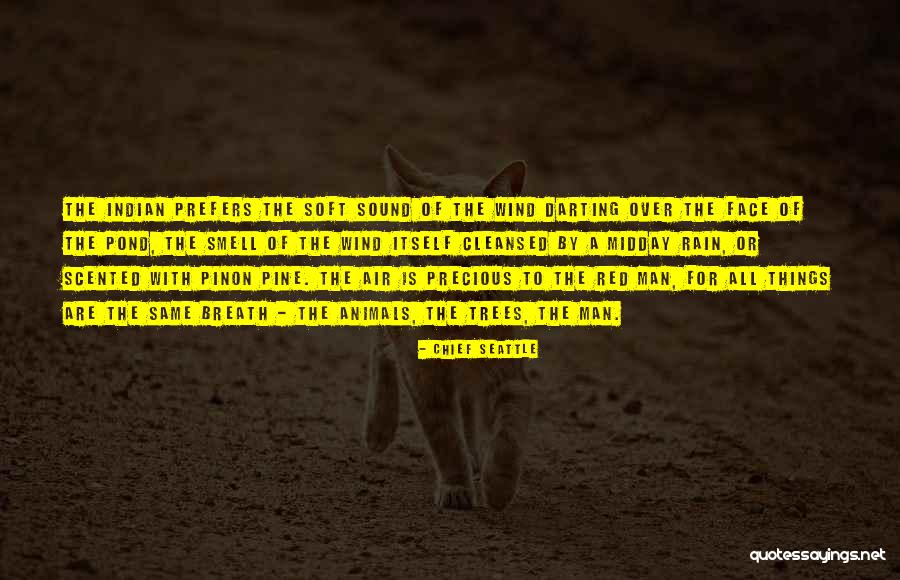 Madonesia Quotes By Chief Seattle Madonesia Quotes By Chief Seattle