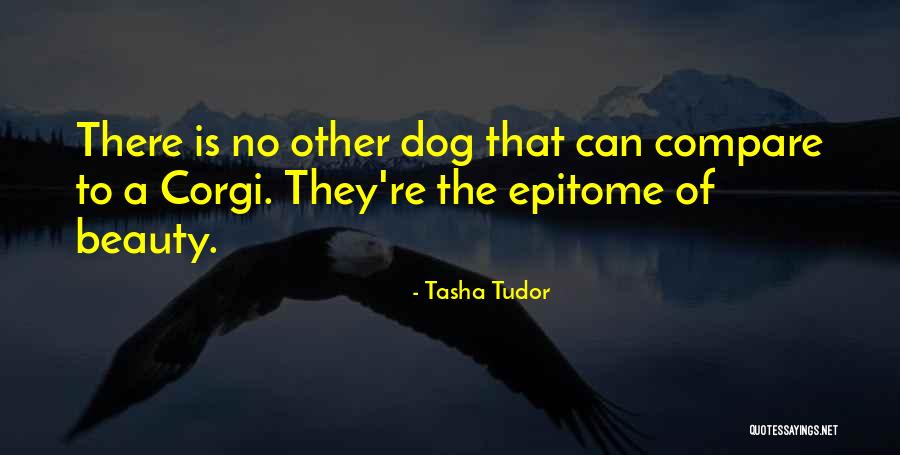 Madras Samayal Quotes By Tasha Tudor Madras Samayal Quotes By Tasha Tudor