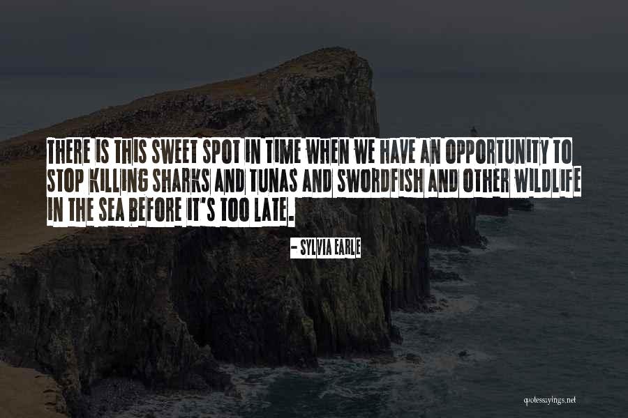 Madre Teresa Quotes By Sylvia Earle Madre Teresa Quotes By Sylvia Earle