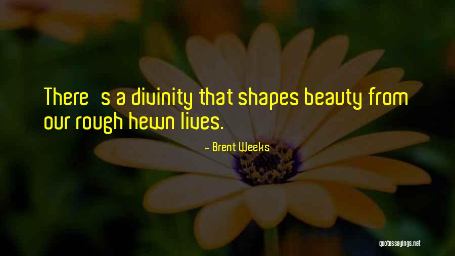 Madre Y Hijo Quotes By Brent Weeks