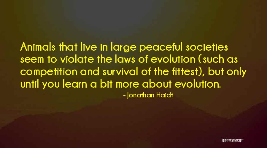 Madres De Plaza Quotes By Jonathan Haidt Madres De Plaza Quotes By Jonathan Haidt