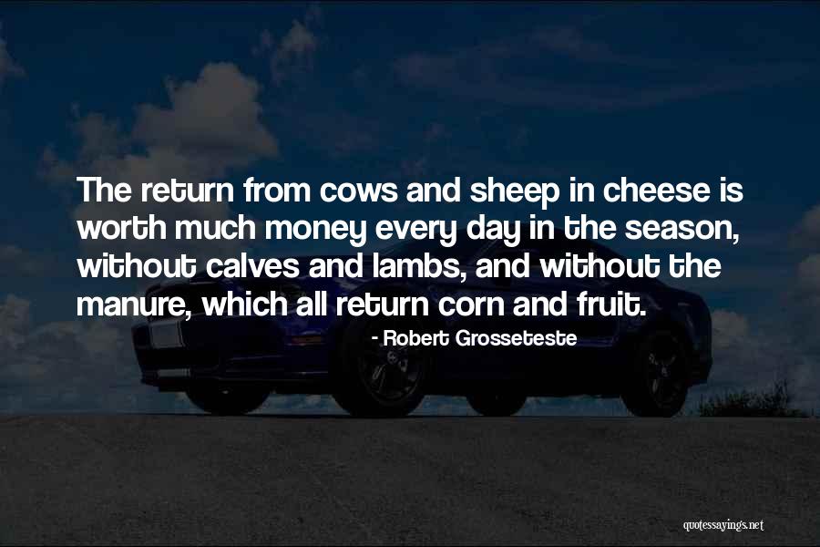 Madres De Plaza Quotes By Robert Grosseteste Madres De Plaza Quotes By Robert Grosseteste