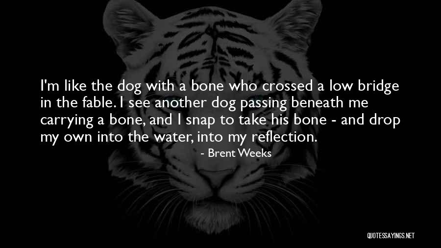 Madriguera Imagen Quotes By Brent Weeks Madriguera Imagen Quotes By Brent Weeks