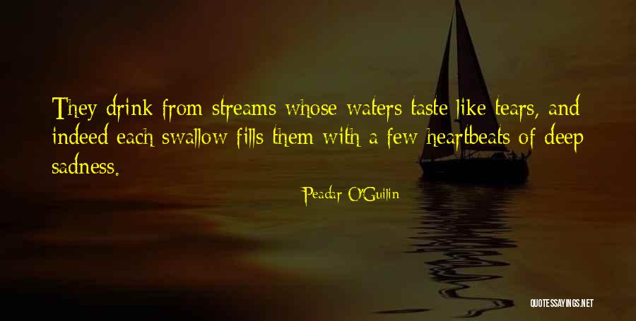 Madrinha Ingles Quotes By Peadar O'Guilin Madrinha Ingles Quotes By Peadar O'Guilin