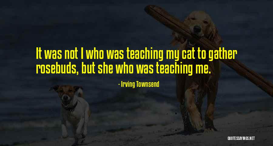 Madrugar Meme Quotes By Irving Townsend Madrugar Meme Quotes By Irving Townsend