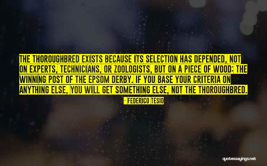 Madysen Decanio Quotes By Federico Tesio Madysen Decanio Quotes By Federico Tesio