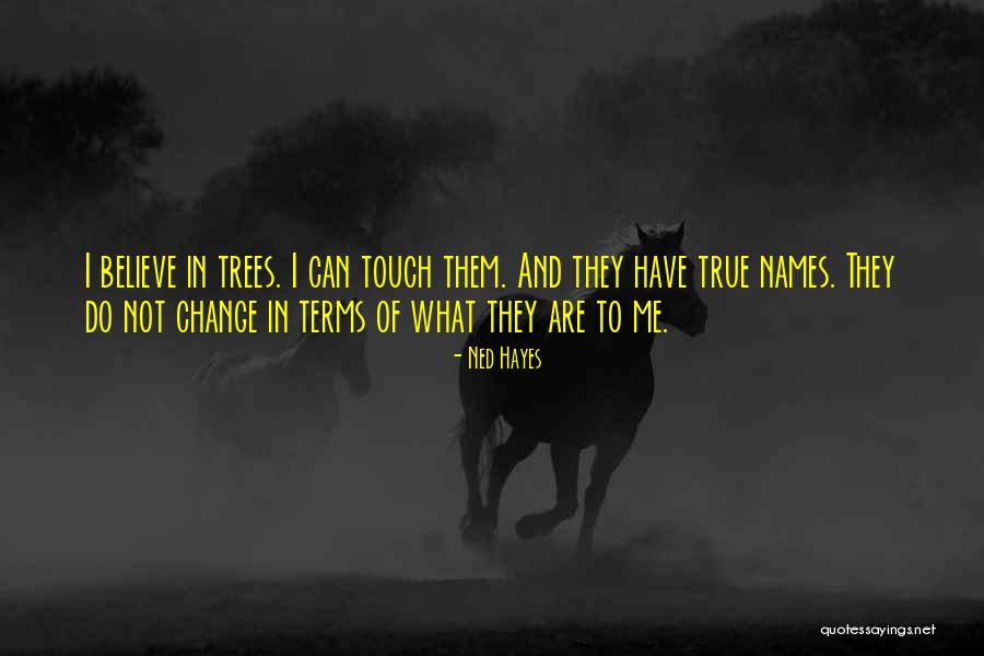 Madyun Shahid Quotes By Ned Hayes Madyun Shahid Quotes By Ned Hayes