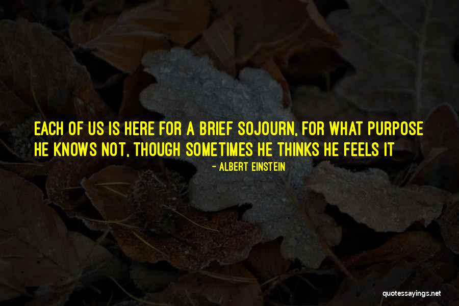 Maeghan Rice Quotes By Albert Einstein Maeghan Rice Quotes By Albert Einstein