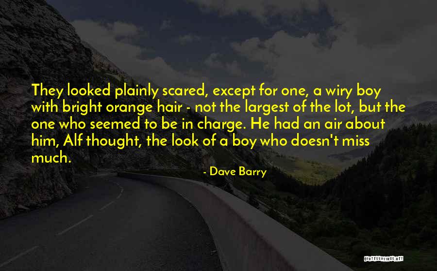 Maeleachlainn Quotes By Dave Barry Maeleachlainn Quotes By Dave Barry
