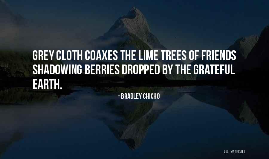 Maelzel Quotes By Bradley Chicho Maelzel Quotes By Bradley Chicho