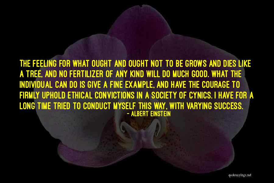 Maestro Cadenza Quotes By Albert Einstein Maestro Cadenza Quotes By Albert Einstein