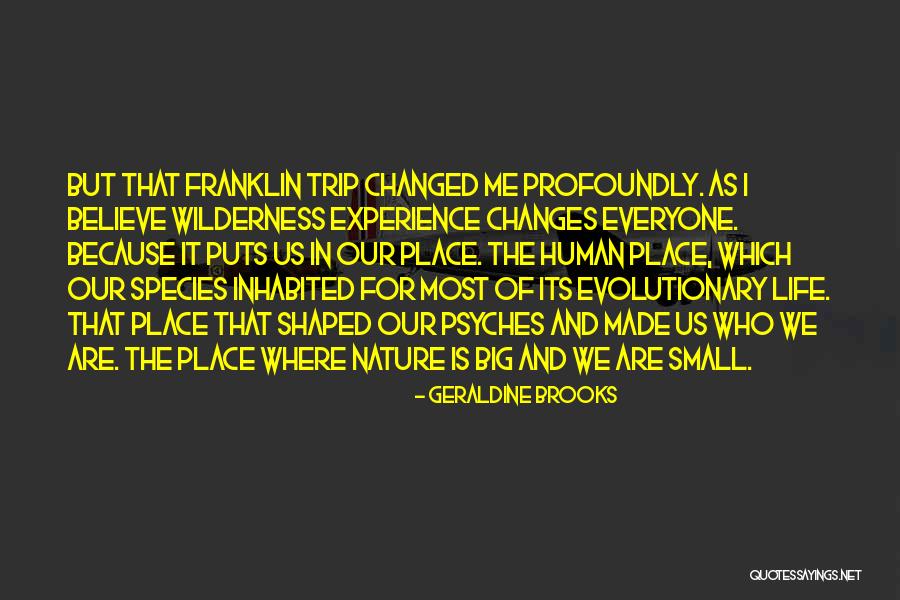 Maestro Distinctively Visual Quotes By Geraldine Brooks