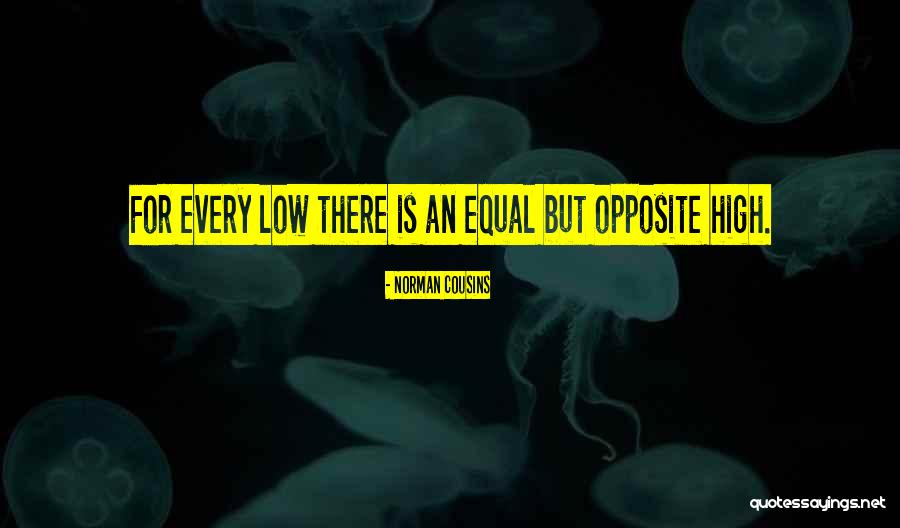 Maestro Distinctively Visual Quotes By Norman Cousins