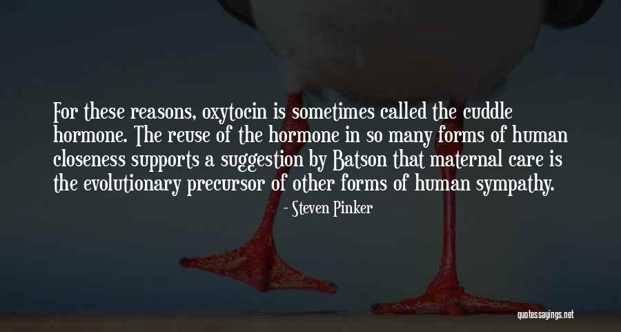 Mafate Reunion Quotes By Steven Pinker Mafate Reunion Quotes By Steven Pinker