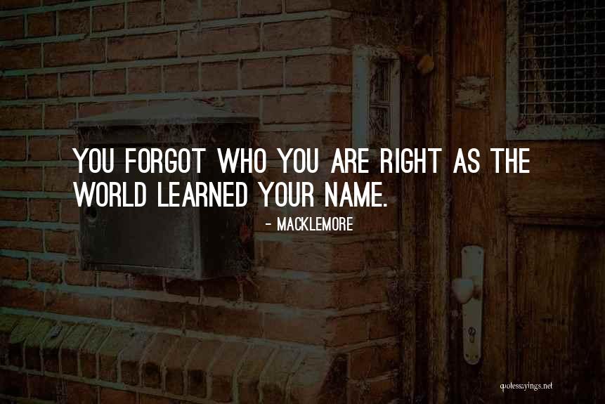 Maffeo Pantaleoni Quotes By Macklemore Maffeo Pantaleoni Quotes By Macklemore