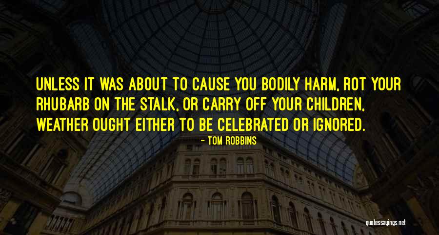 Magaddino Family Quotes By Tom Robbins Magaddino Family Quotes By Tom Robbins