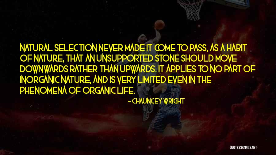 Magasins Action Quotes By Chauncey Wright Magasins Action Quotes By Chauncey Wright