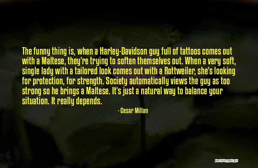 Magazine The Nation Quotes By Cesar Millan Magazine The Nation Quotes By Cesar Millan