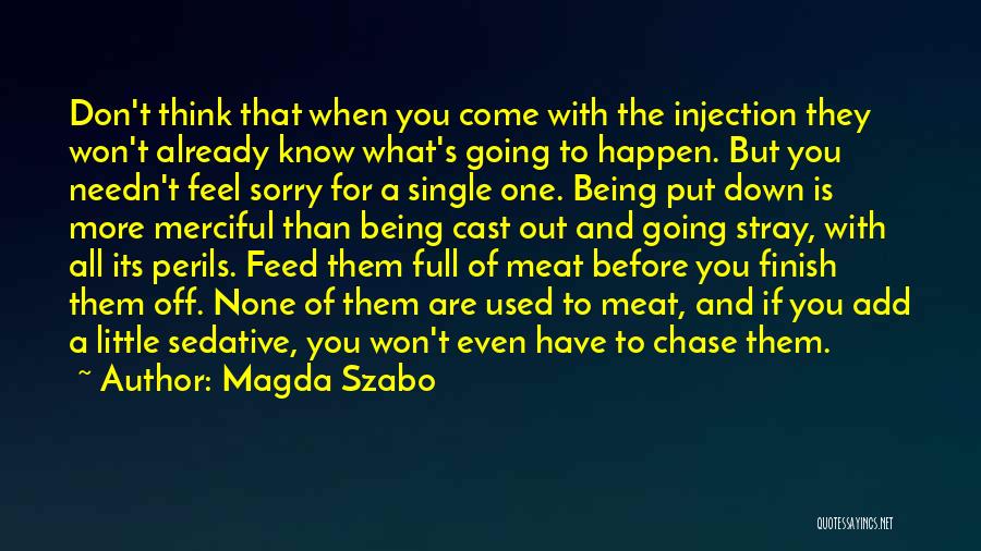 Magda Szabo Quotes 121977