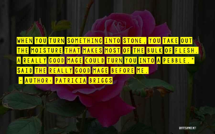 Mage Quotes By Patricia Briggs