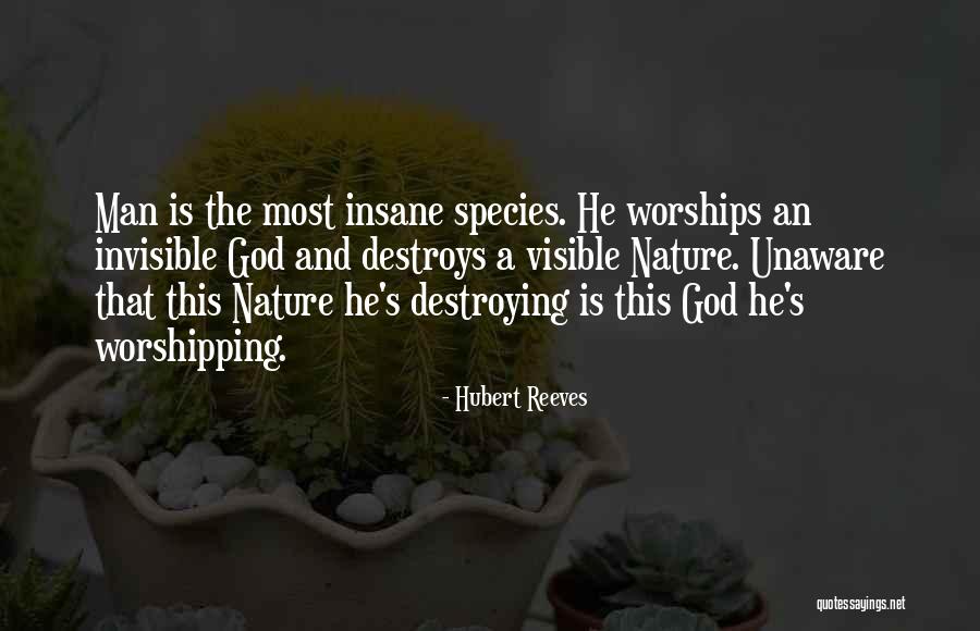 Magers And Quinn Quotes By Hubert Reeves Magers And Quinn Quotes By Hubert Reeves