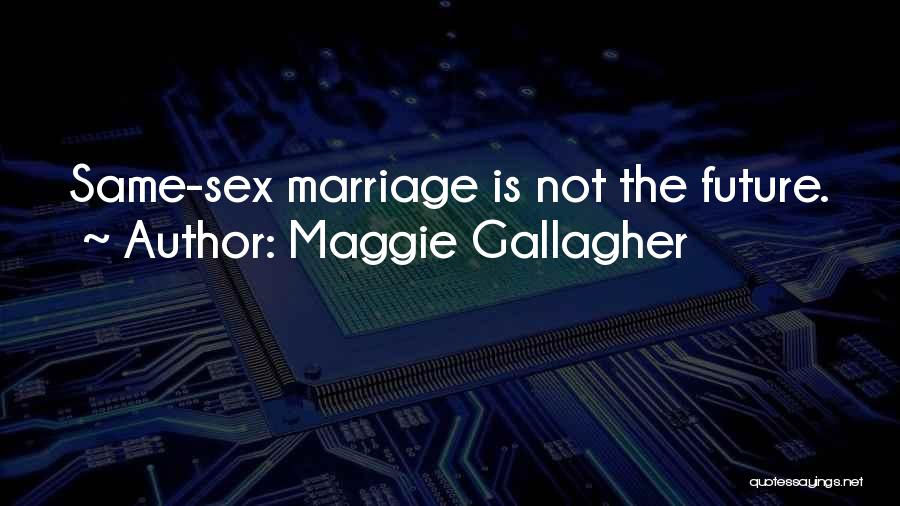 Maggie Gallagher Quotes 1674841