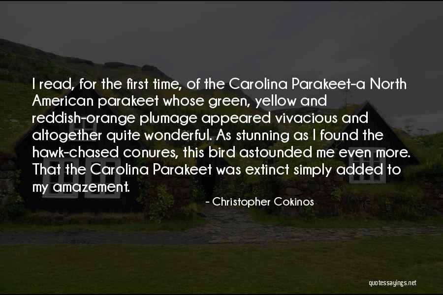 Maggie Smith Dowager Quotes By Christopher Cokinos Maggie Smith Dowager Quotes By Christopher Cokinos