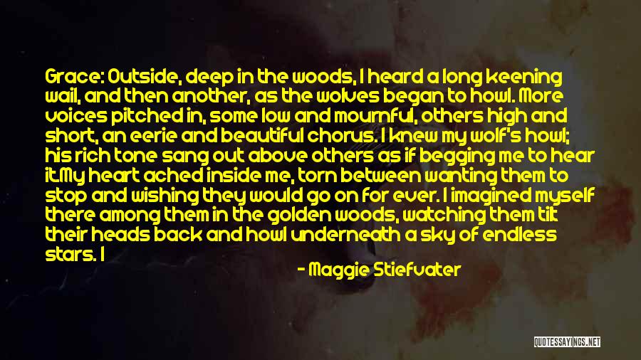 Maggie Stiefvater Quotes 2243772 Maggie Stiefvater Quotes 2243772