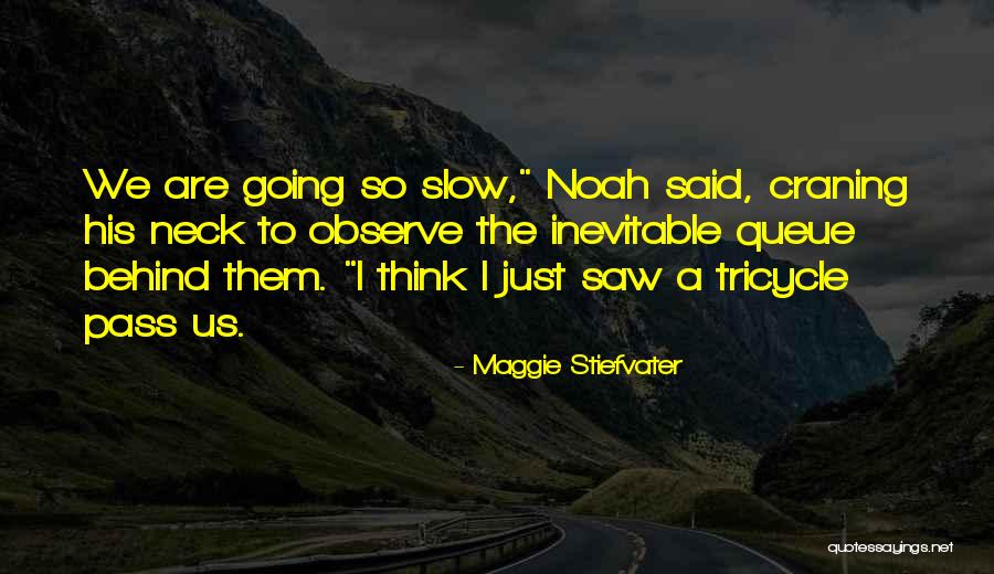 Maggie Stiefvater Quotes 274668