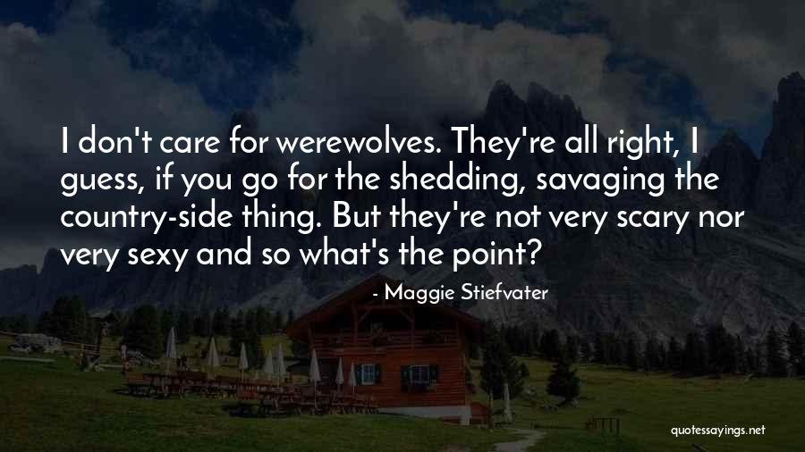 Maggie Stiefvater Quotes 443665