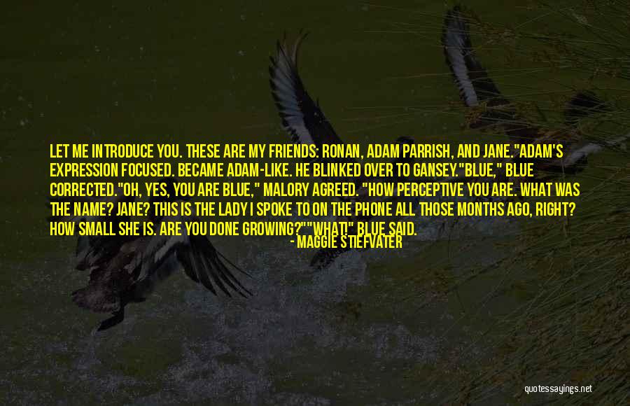 Maggie Stiefvater Quotes 989920 Maggie Stiefvater Quotes 989920