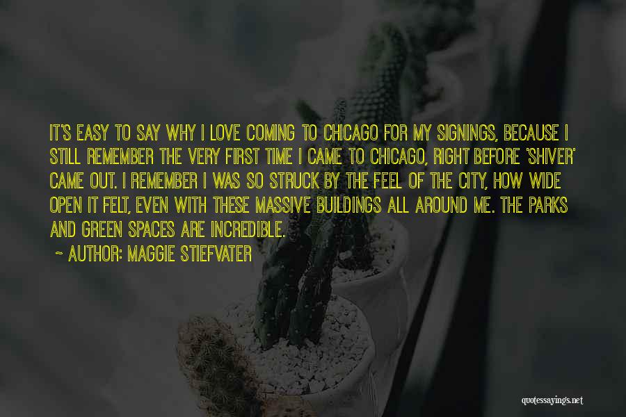 Maggie Stiefvater Shiver Quotes By Maggie Stiefvater