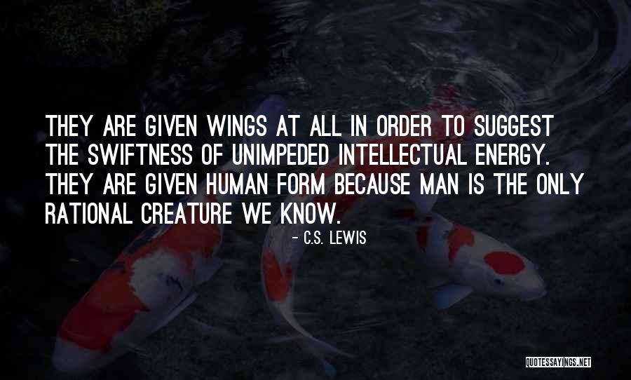 Maggiolo Md Quotes By C.S. Lewis Maggiolo Md Quotes By C.S. Lewis