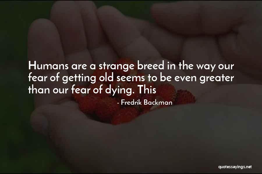 Maggiorana In Inglese Quotes By Fredrik Backman Maggiorana In Inglese Quotes By Fredrik Backman