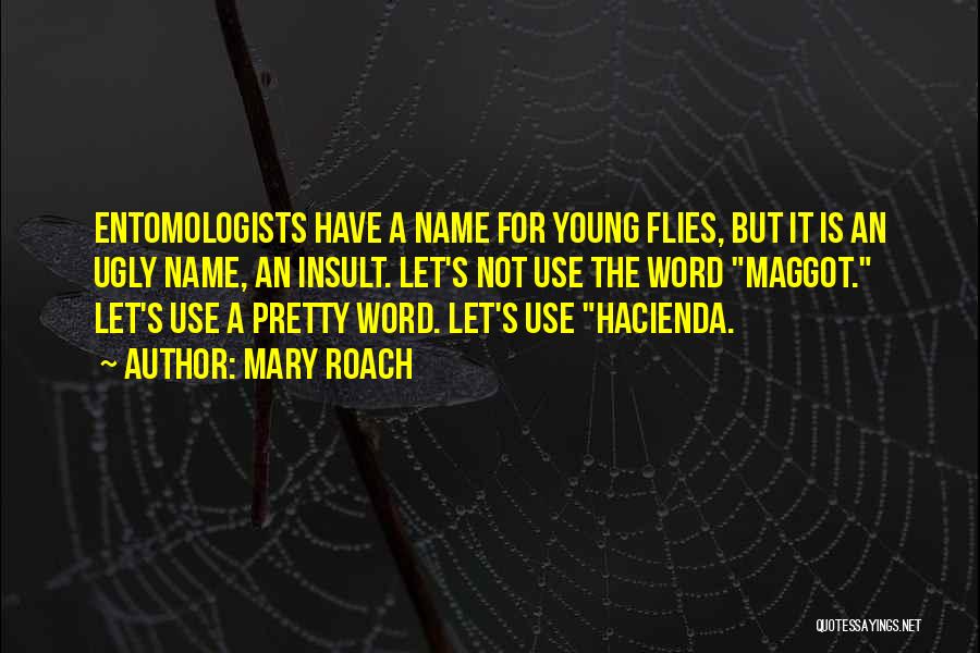 Maggot Quotes By Mary Roach