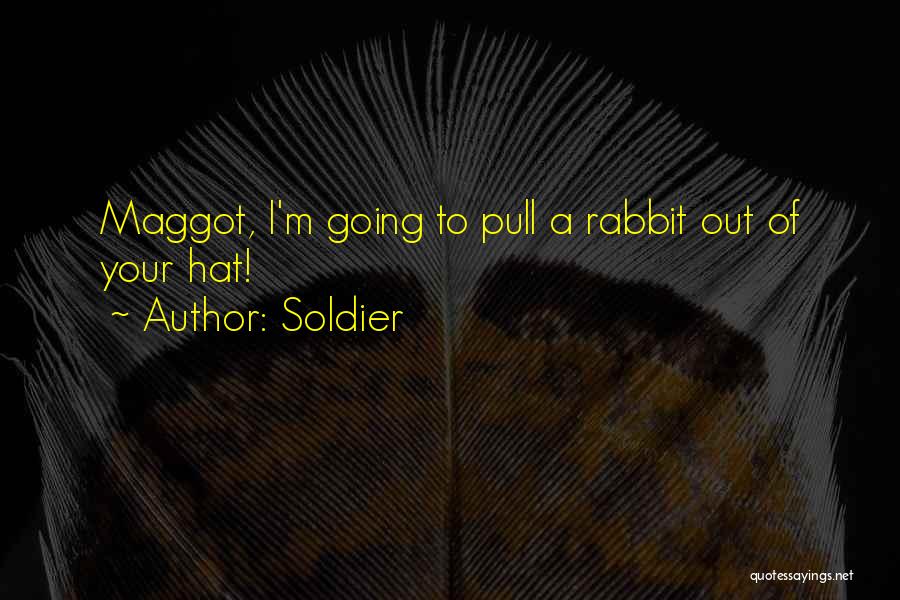 Maggot Quotes By Soldier